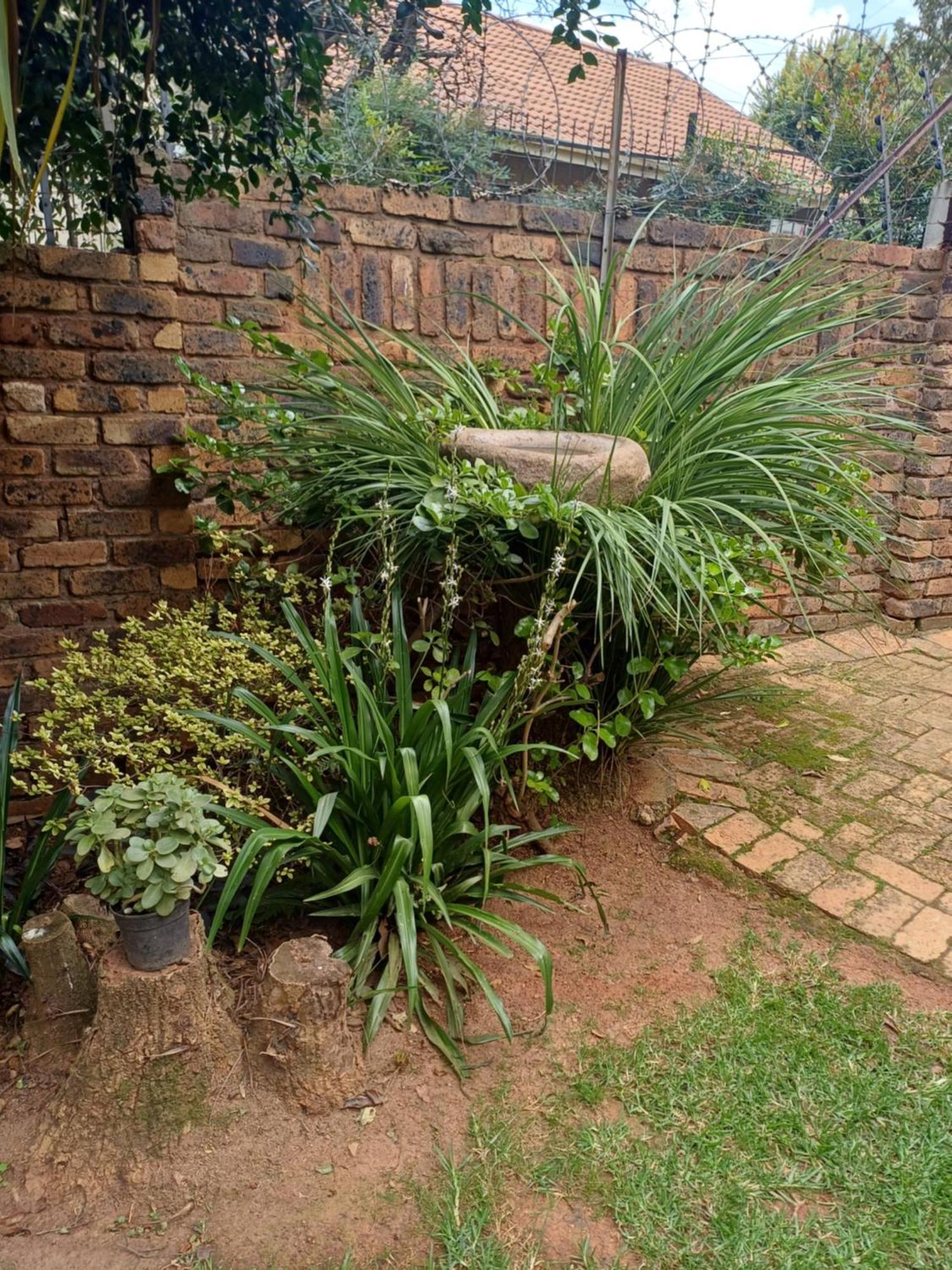 Green Scape Flatlet Pretoria Bagian luar foto